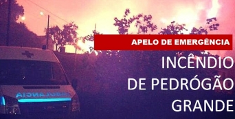 Operação Incêndio Pedrógão Grande (1)